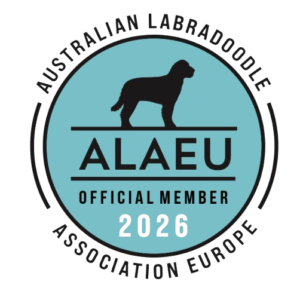 Lid van de ALAEU 2026