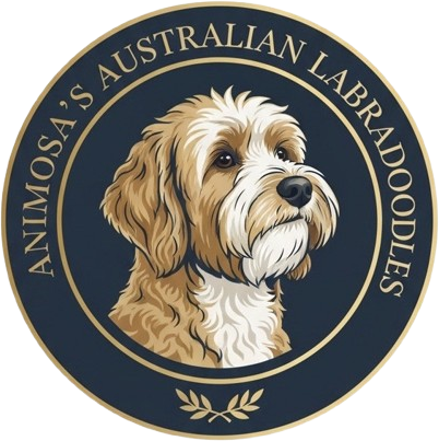 Logo Animosa's Australian Labradoodles