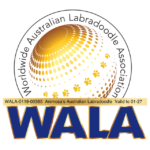 Lid van de WALA